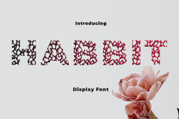 Habbit: A Modern Typeface for Creative Design